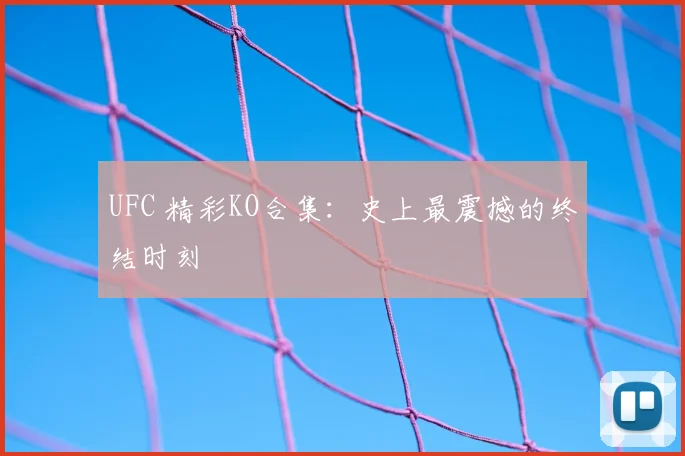 UFC 精彩KO合集：史上最震撼的终结时刻