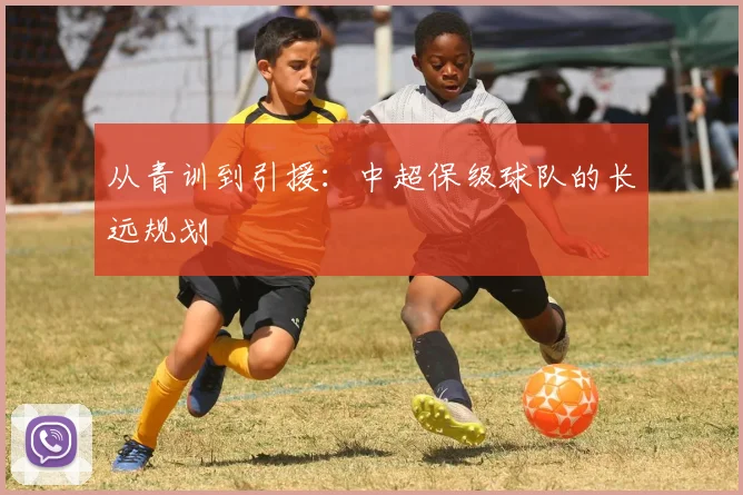 从青训到引援:中超保级球队的长远规划