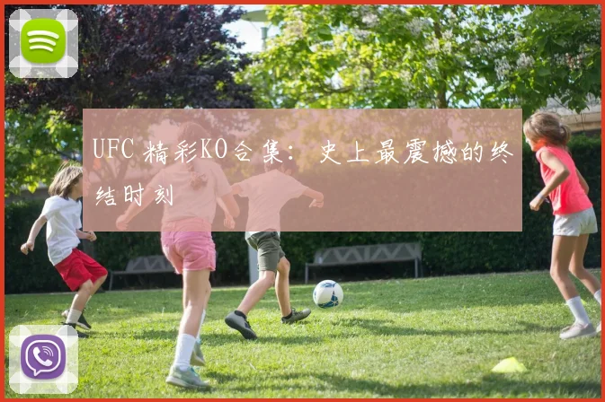 UFC 精彩KO合集：史上最震撼的终结时刻